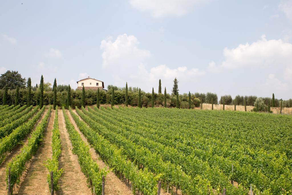 Le Buche Wine Resort&Spa Macciano ภายนอก รูปภาพ