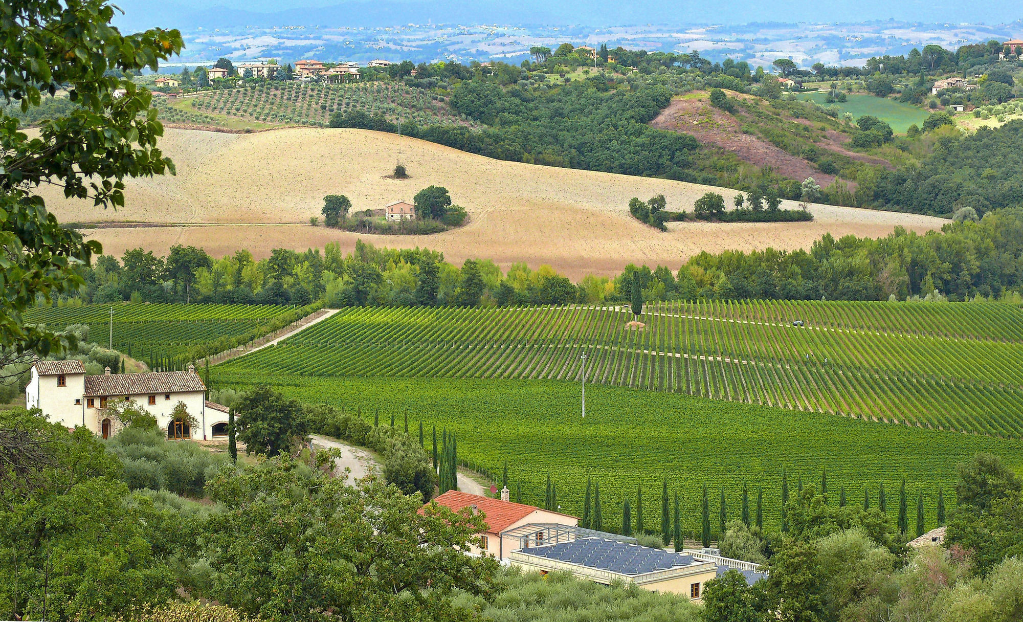 Le Buche Wine Resort&Spa Macciano ภายนอก รูปภาพ